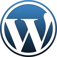 Read more about the article Questions to Ask Before Buying a WordPress Theme